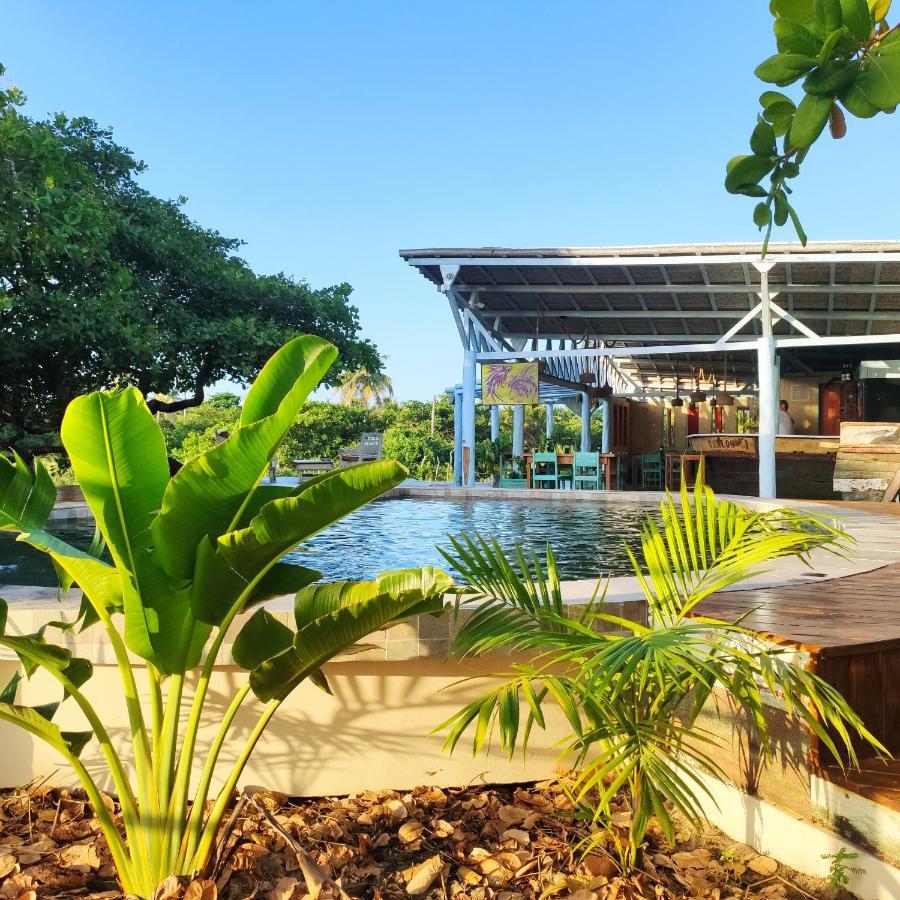 Convento Arcadia Bed & Breakfast Atins Ngoại thất bức ảnh